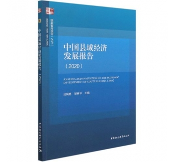 中国县域经济发展报告（2020）